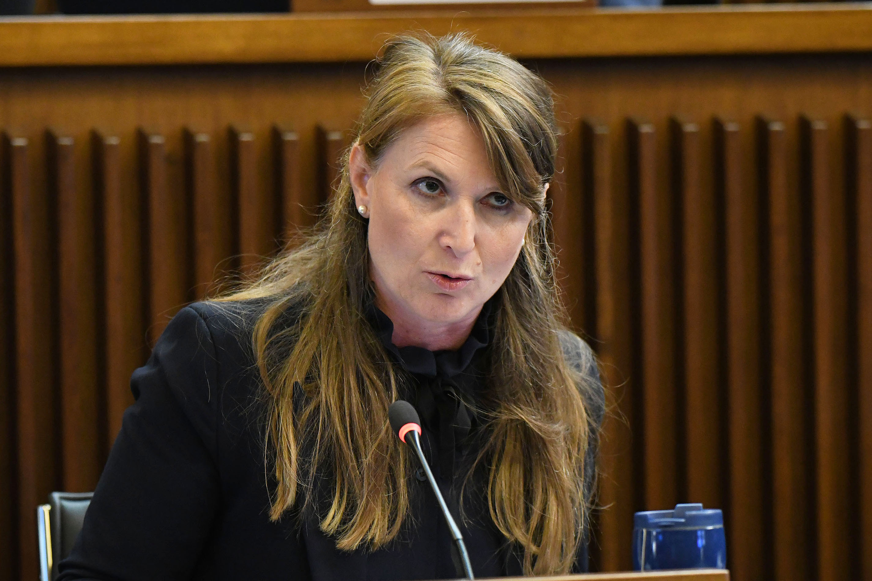 PROVINCE. CAPOZZI (M5S): UNA SCATOLA VUOTA, INSENSATO SOSTITUIRE EDR